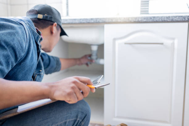 Best Affordable Plumbing Services  in Fruitland Park, FL
