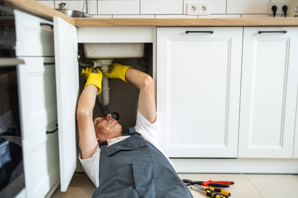 Best Drain Cleaning Services  in Fruitland Park, FL
