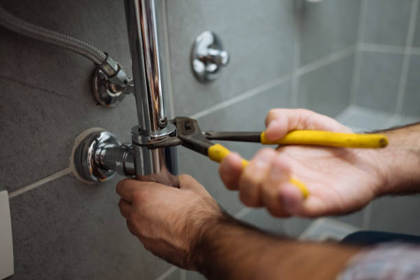 Best Plumbing Services Near Me  in Fruitland Park, FL