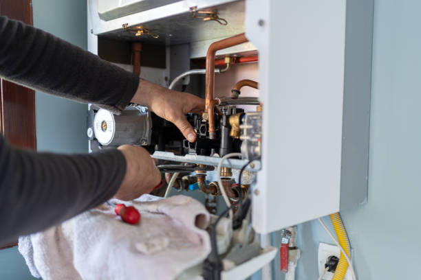 Best Clogged Drain Plumber  in Fruitland Park, FL
